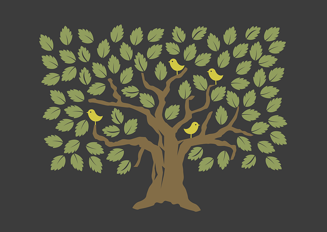 tree-service-640x480-99862826.png
