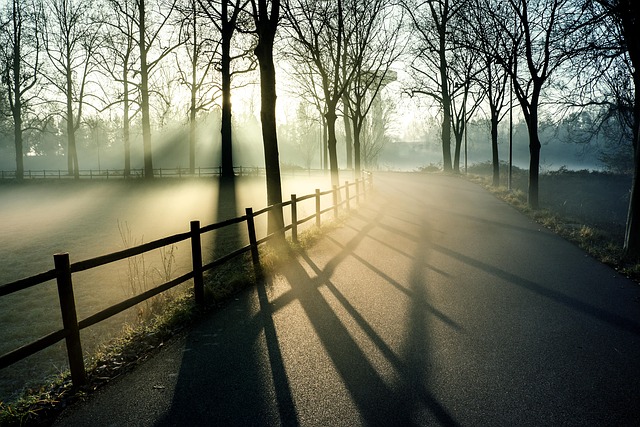fence-company-640x480-24596639.jpeg