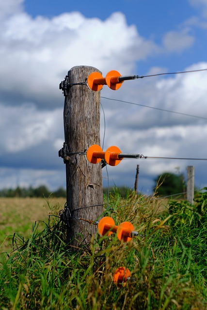 fence-company-640x480-64764791.jpeg