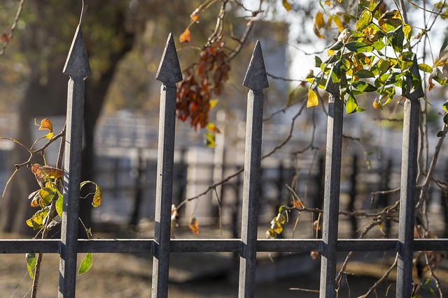 fence-company-640x480-70765189.jpeg