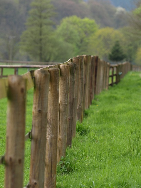 fence-company-640x480-77401388.jpeg