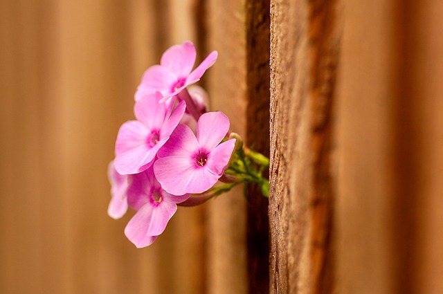 fence-company-640x480-88432195.jpeg