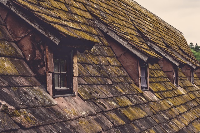 roof repair