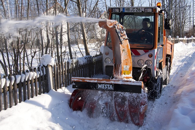 tree-service-640x480-25234798.jpeg