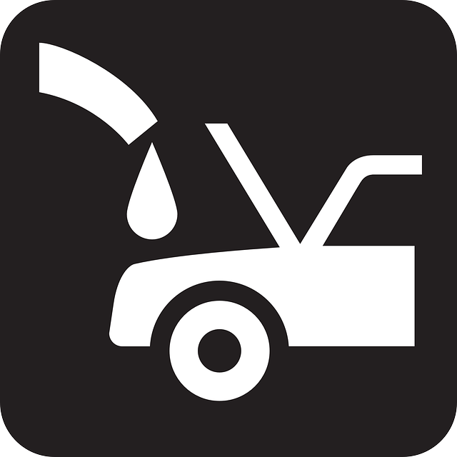 tree-service-640x480-37432790.png
