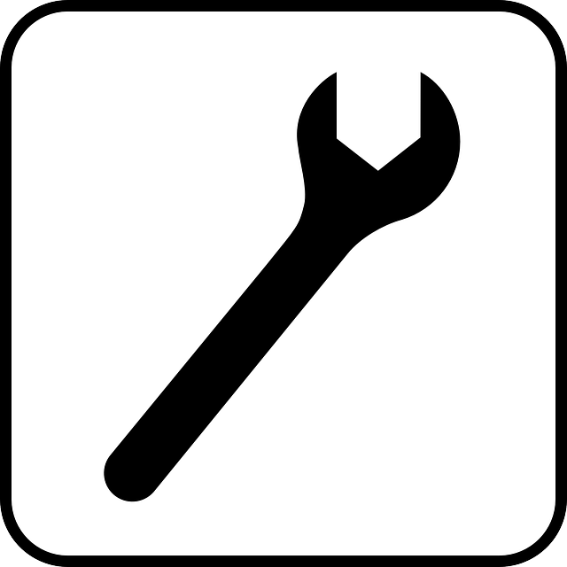 tree-service-640x480-74131246.png