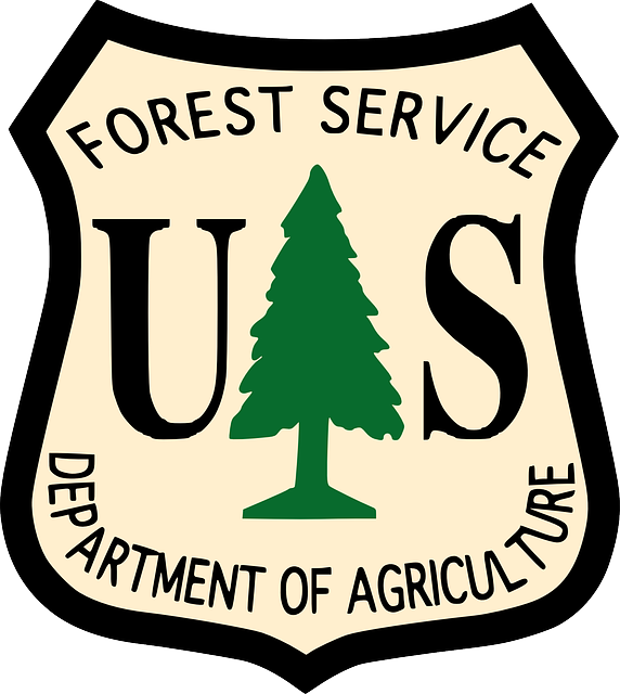 tree-service-640x480-96670109.png