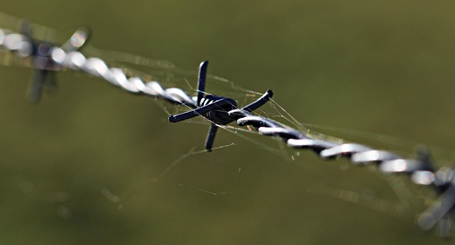 fence-company-640x480-38720079.jpeg