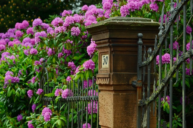 fence-company-640x480-7877149.jpeg