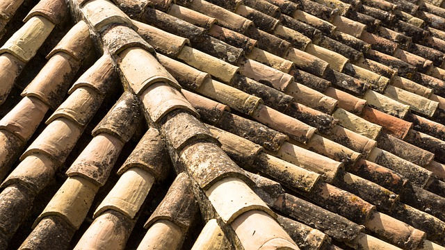 Steel roof