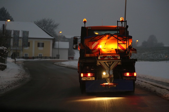 tree-service-640x480-34478819.jpeg