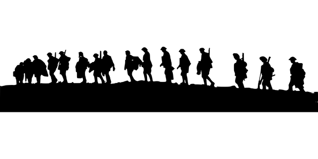 tree-service-640x480-82286831.png