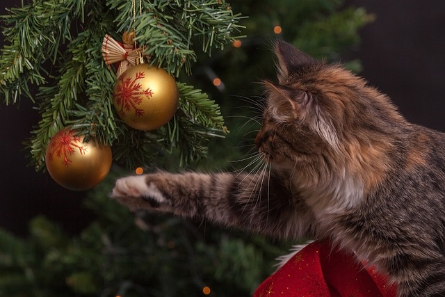 tree trimming