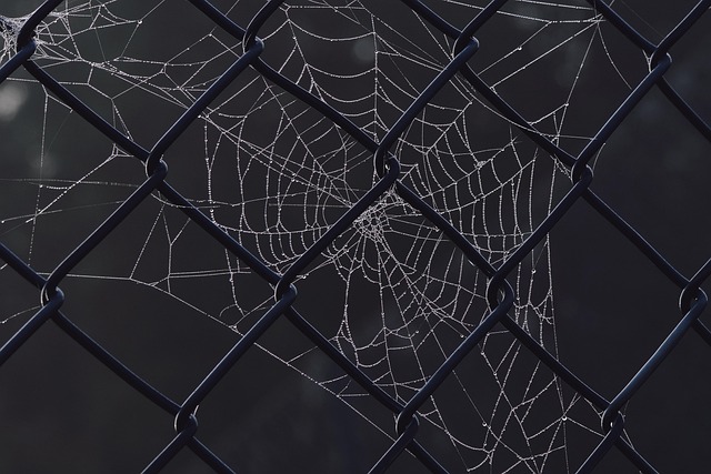 fence-company-640x480-63240461.jpeg