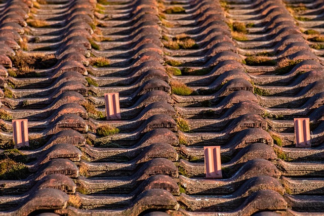 roof repair