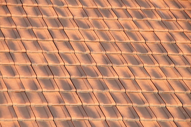roof repair