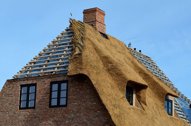 roofer-640x480-46017960.jpeg