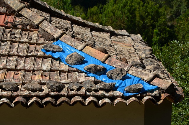 roofer-640x480-46748689.jpeg