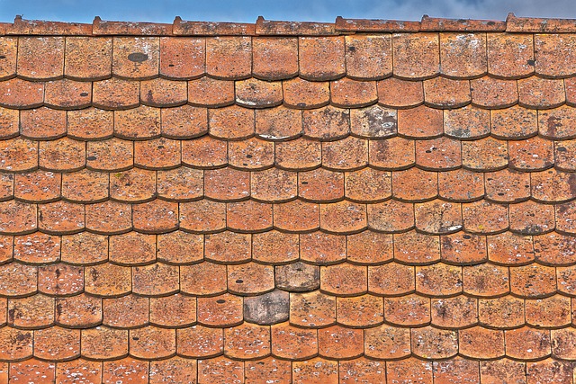 roofer-640x480-62798855.jpeg