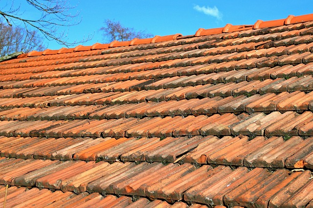roofing