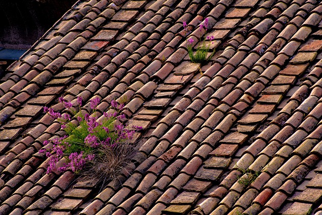 roofing-640x480-91489066.jpeg