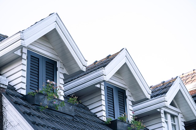 Steel roof