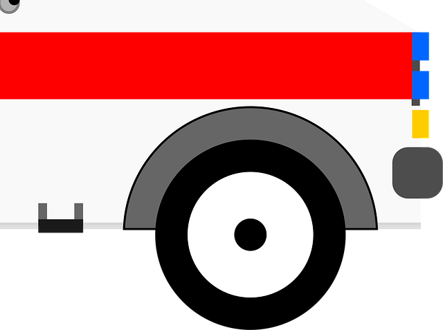 tree-service-640x480-13551145.png
