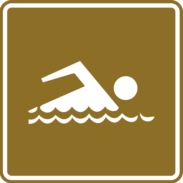 tree-service-640x480-24503292.png