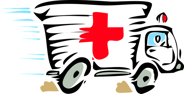 tree-service-640x480-29518510.png