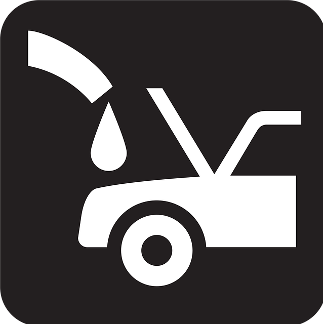 tree-service-640x480-38131701.png