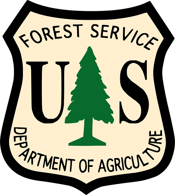 tree-service-640x480-85922263.png