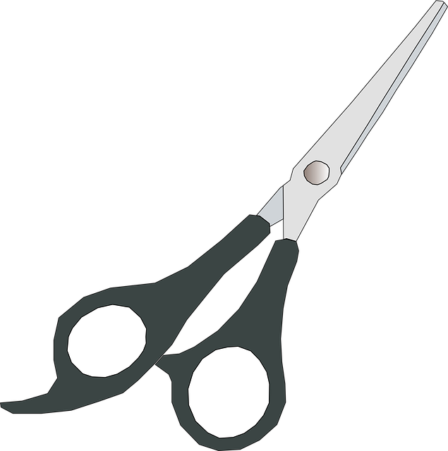 tree-trimming-640x480-8853566.png