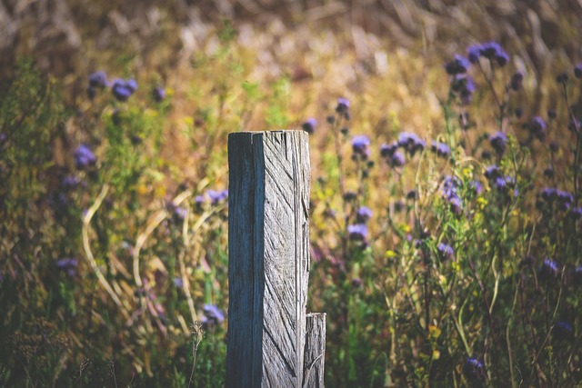 fence-company-640x480-94202778.jpeg
