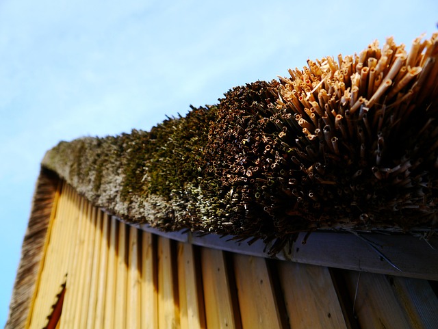leaking roof