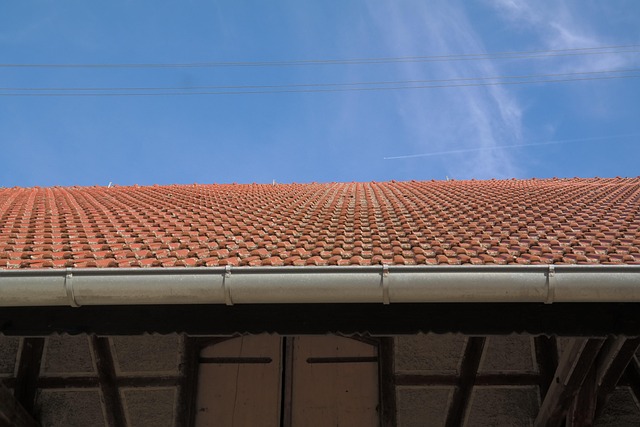 leaking-roof-640x480-51289594.jpeg