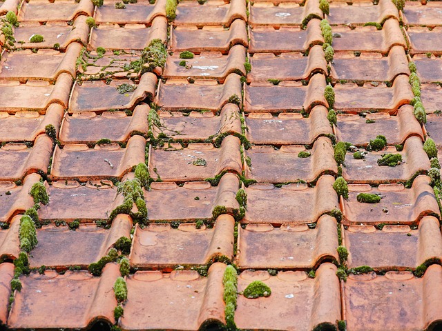 roof repair