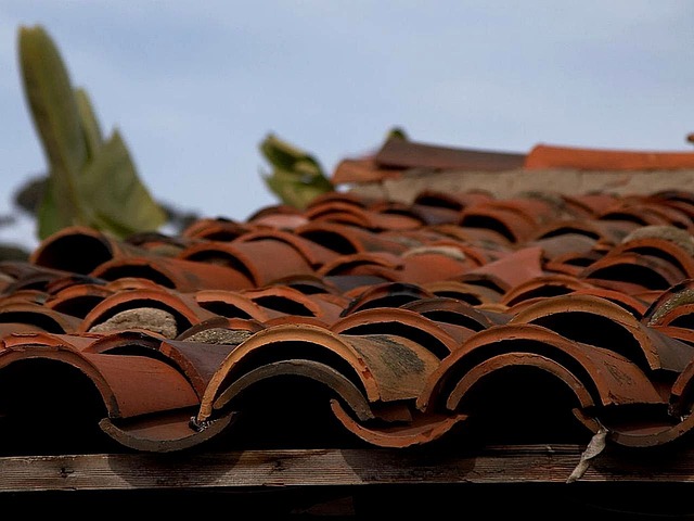 roofing-640x480-11344993.jpeg