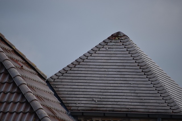roofing-640x480-53894423.jpeg