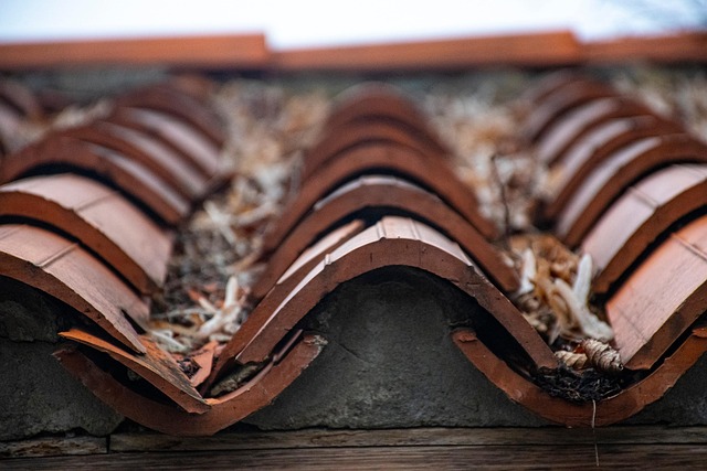 roofing-640x480-81052508.jpeg