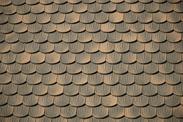 roofing-640x480-89816169.jpeg