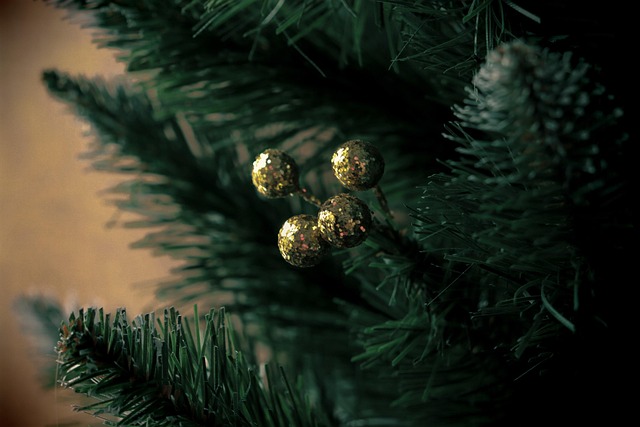 tree-service-640x480-42956089.jpeg