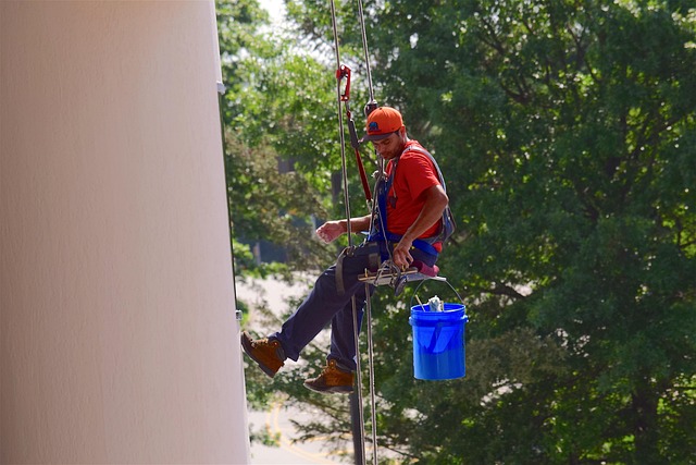 tree-service-640x480-33810127.jpeg