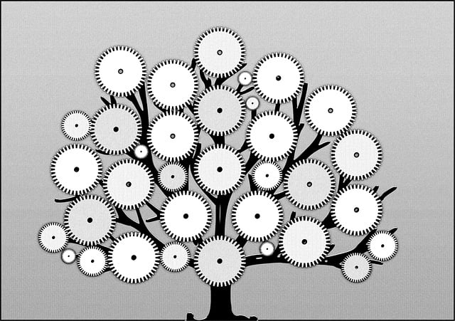 tree-service-640x480-43678064.jpeg