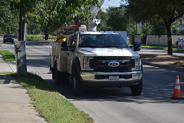 tree-service-640x480-91975276.jpeg